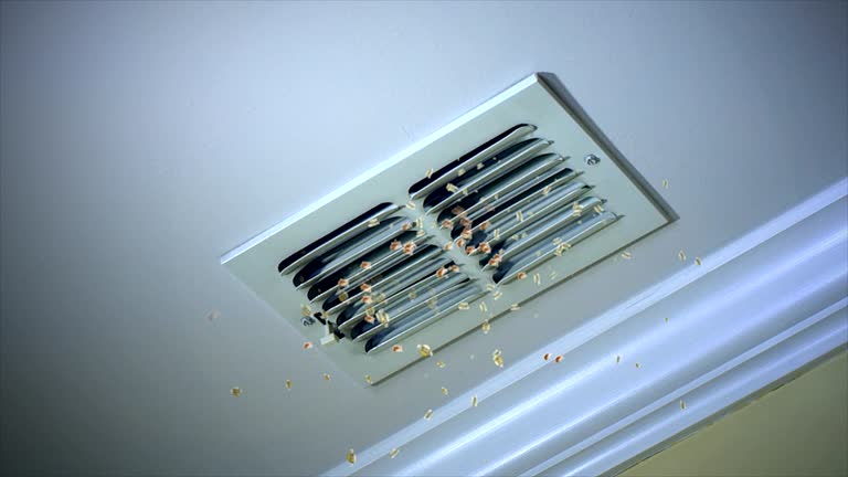 Best HVAC System Cleaning  in High Springs, FL